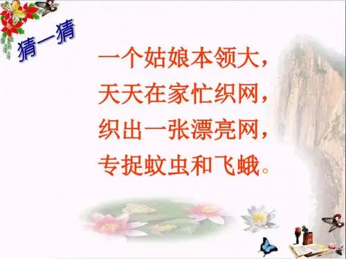 一年级语文下册第13课蜘蛛织网 PPT精品课件西师大版