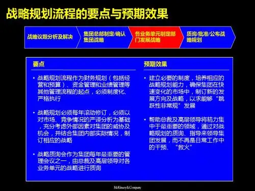 麦肯锡大唐战略规划附战略、财务规划模板1