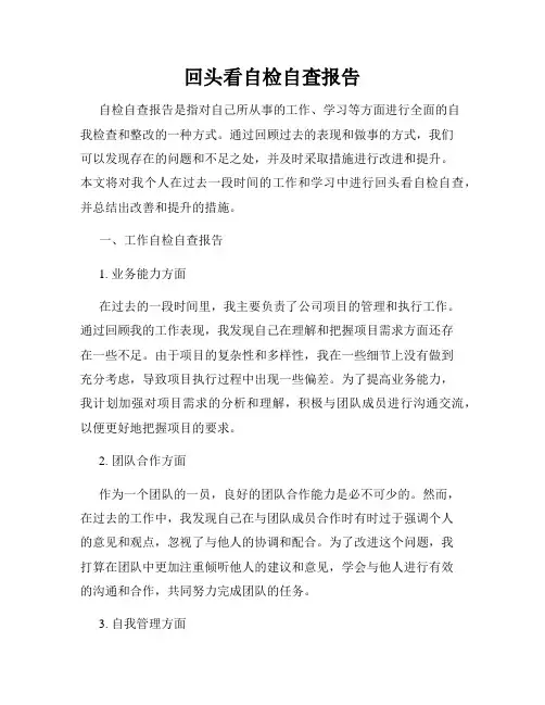 回头看自检自查报告