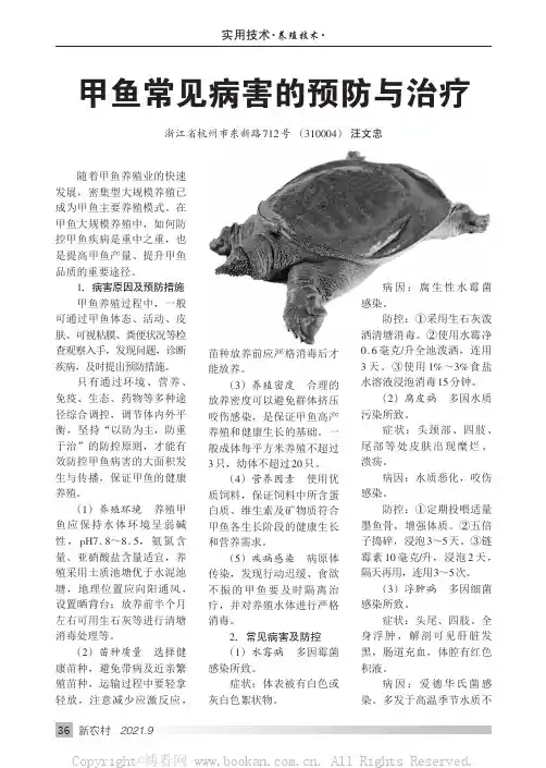 甲鱼常见病害的预防与治疗