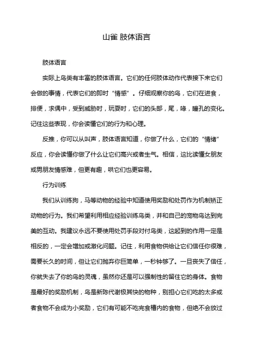 山雀 肢体语言