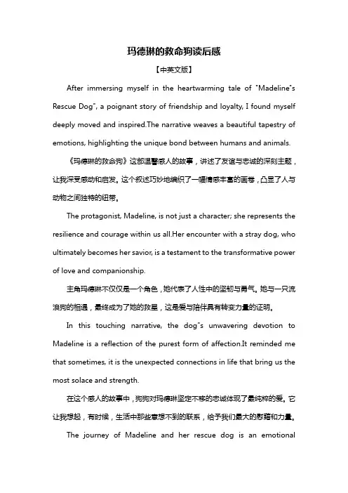 玛德琳的救命狗读后感
