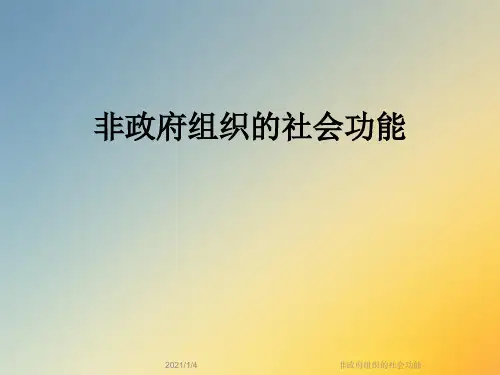 非政府组织的社会功能