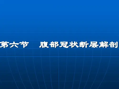 腹部断层解剖第四节腹部冠状断层解剖ppt课件
