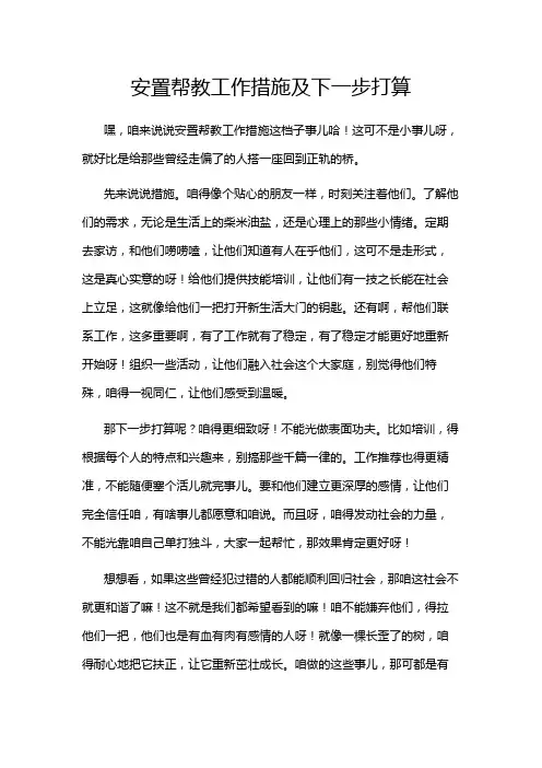 安置帮教工作措施及下一步打算