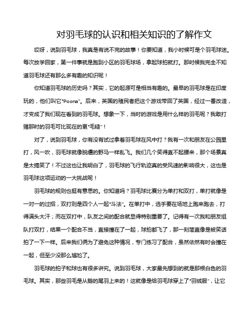 对羽毛球的认识和相关知识的了解作文