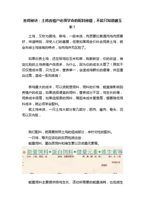 养鸡秘诀：土鸡养殖户必须学会的配料秘籍，不能只知道喂玉米！