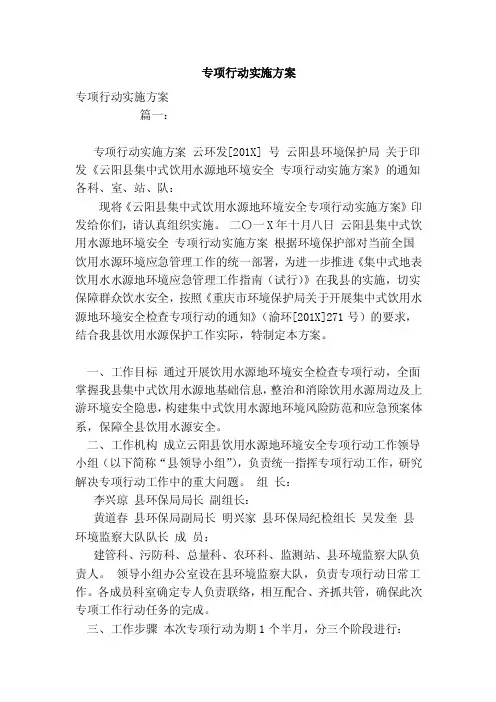 专项行动实施方案