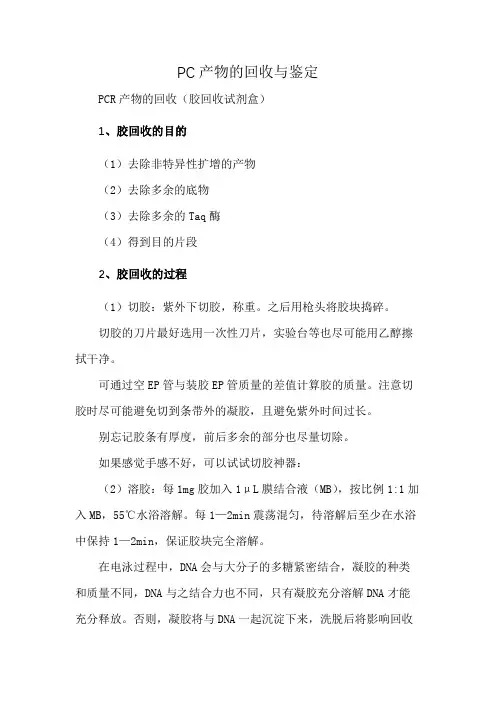 PC产物的回收与鉴定