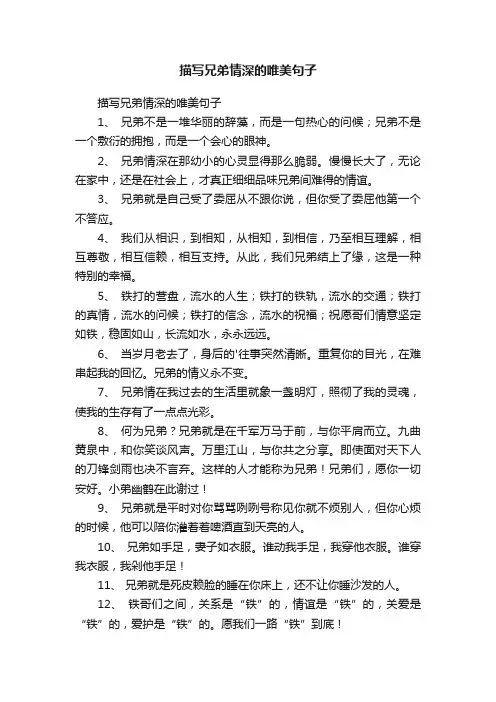 描写兄弟情深的唯美句子