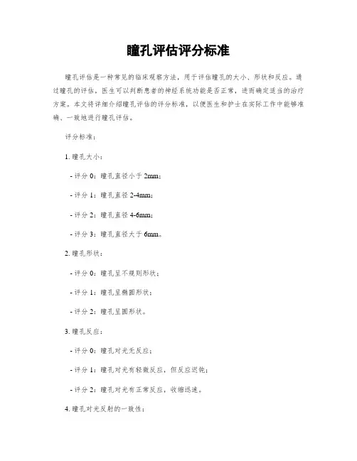 瞳孔评估评分标准