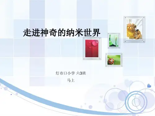 走进神奇的纳米世界-小学生普及知识