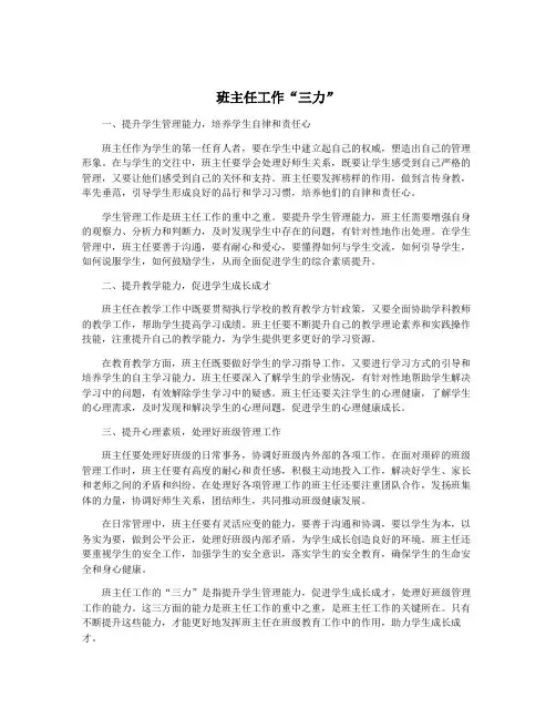 班主任工作“三力”