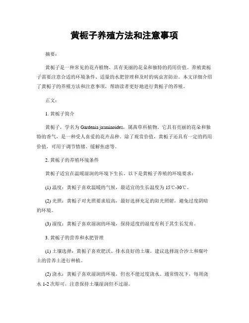 黄栀子养殖方法和注意事项