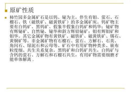 柿竹园选矿厂基本信息