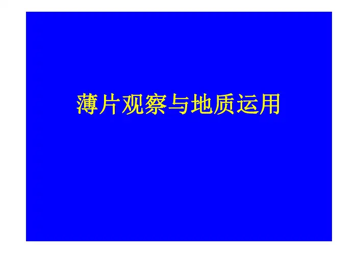 薄片鉴定与扫描电镜图片观察自我总结