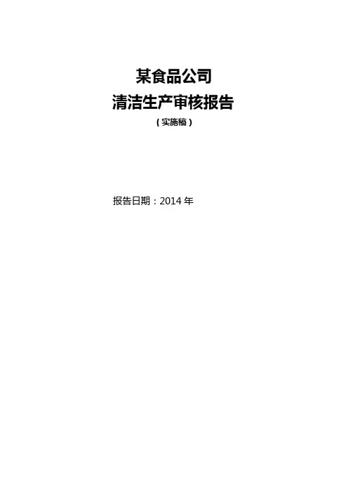 2020年(清洁生产)某食品公司清洁生产审核报告(实施稿)