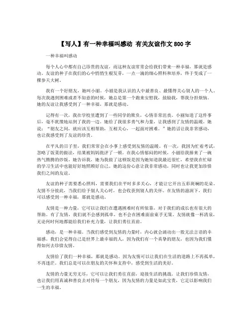 【写人】有一种幸福叫感动 有关友谊作文800字