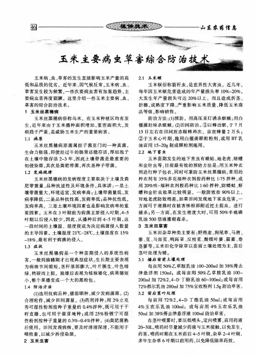 玉米主要病虫草害综合防治技术