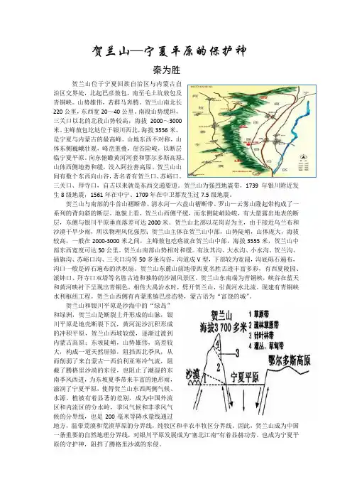 贺兰山—宁夏平原的保护神