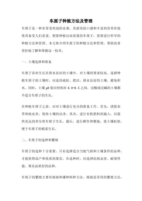 车厘子种植方法及管理