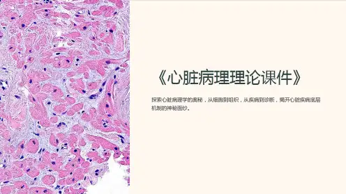 《心脏病理理论课件》