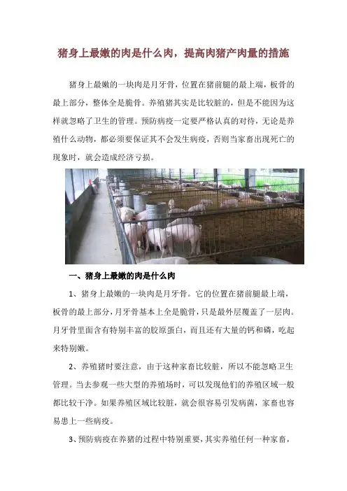 猪身上最嫩的肉是什么肉,提高肉猪产肉量的措施_1