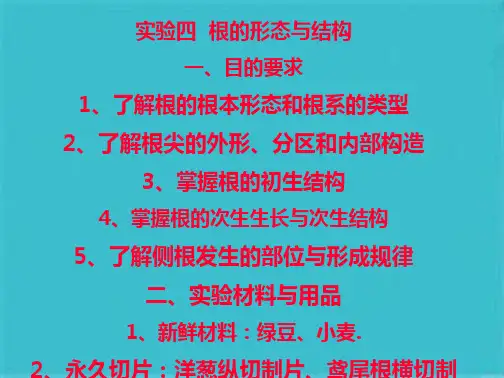 植物学根的形态与结构(共25张PPT)