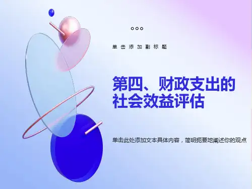 财政支出的绩效评价与项目预算管理04课件讲义