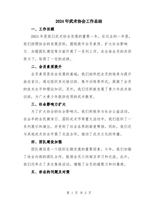 2024年武术协会工作总结