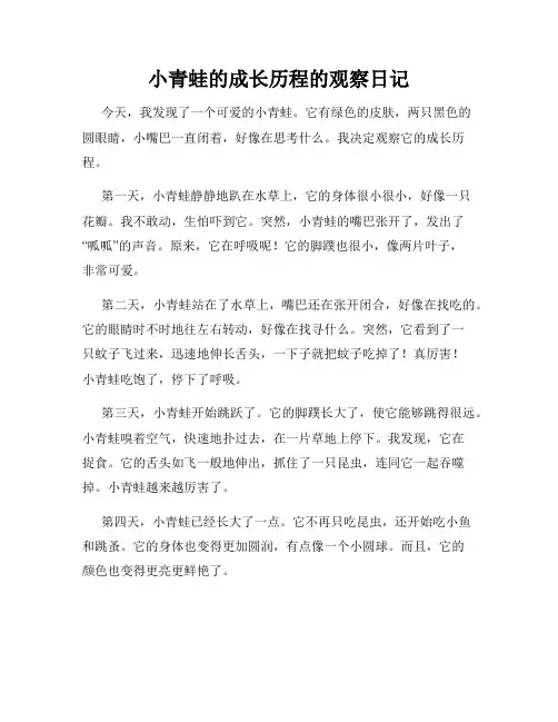小学三年级作文小青蛙的成长历程的观察日记