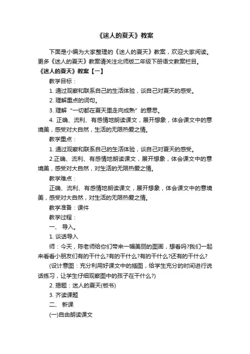 《迷人的夏天》教案