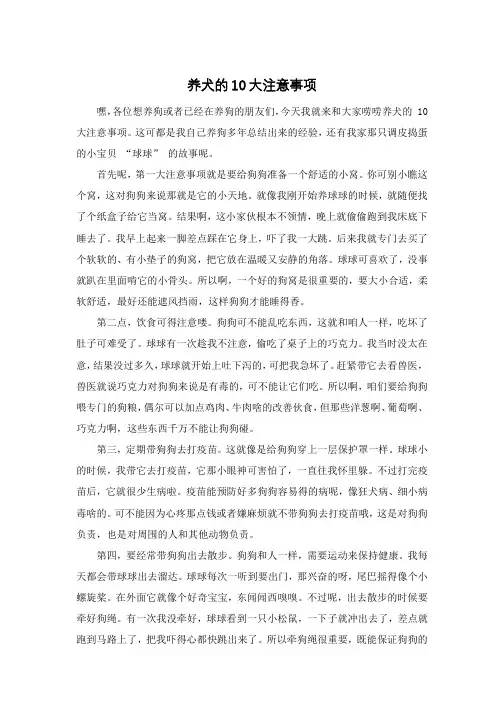 养犬的10大注意事项