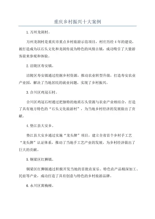 重庆乡村振兴十大案例