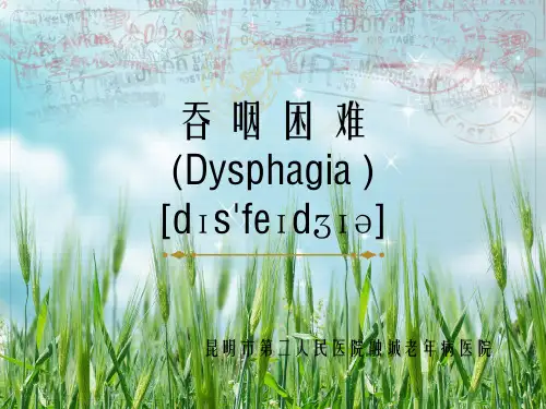 《吞咽困难》幻灯片PPT