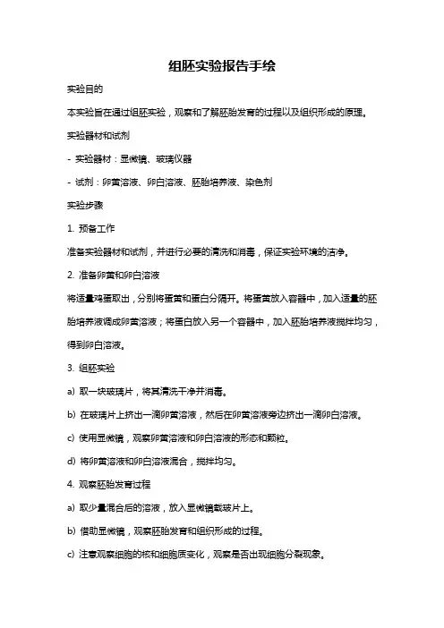 组胚实验报告手绘