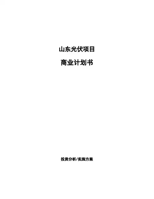 山东光伏项目商业计划书