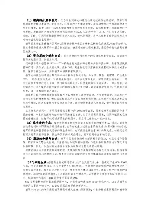 瘤胃(内消化代谢过程)