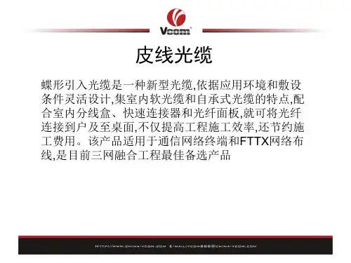 皮线光缆PPT