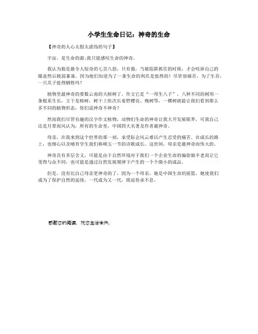 小学生生命日记：神奇的生命