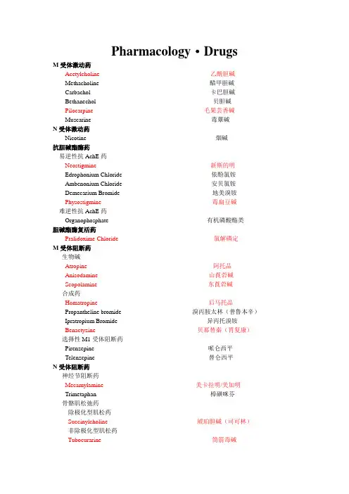 药物词汇