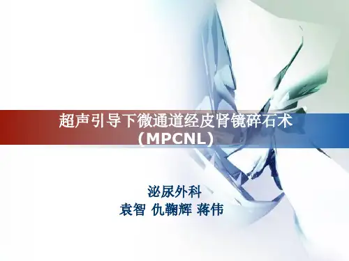 超声引导下微通道经皮肾镜碎石术