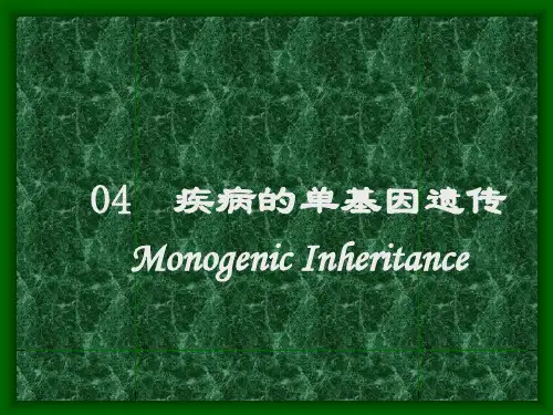 疾病的单基因遗传ppt课件