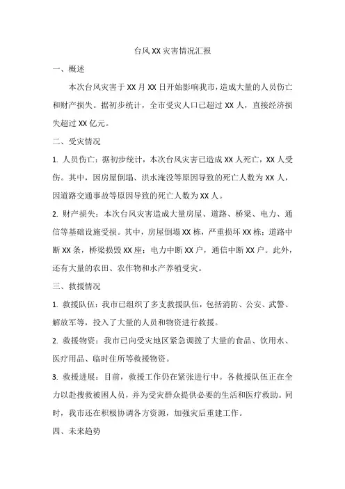 台风灾害汇报模板