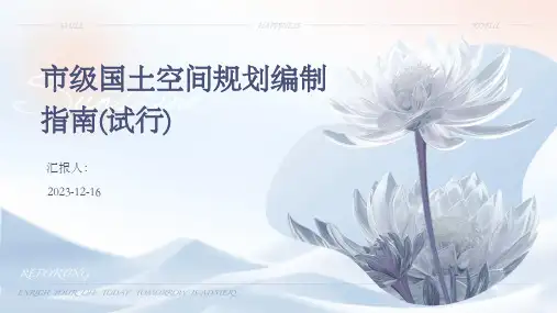 市级国土空间规划编制指南(试行)