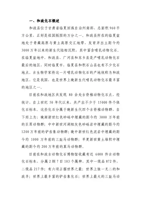 化石保护简介