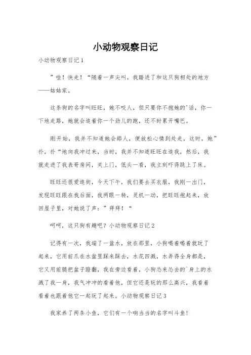 小动物观察日记