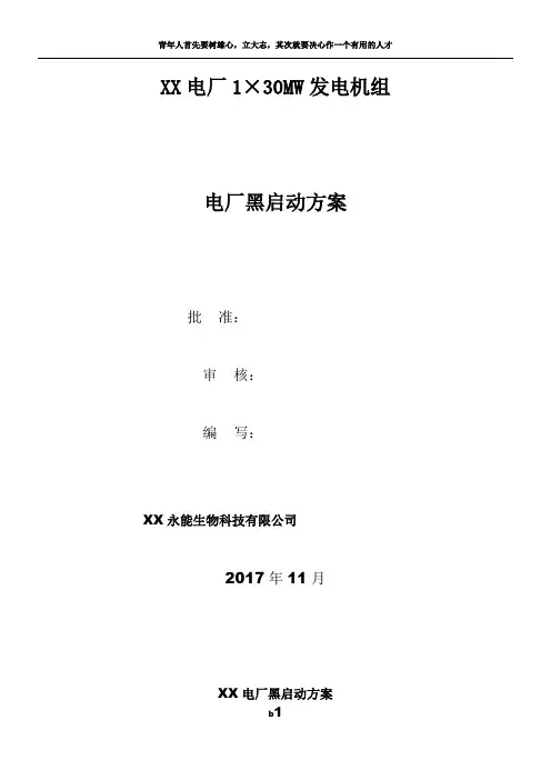 电厂黑启动方案