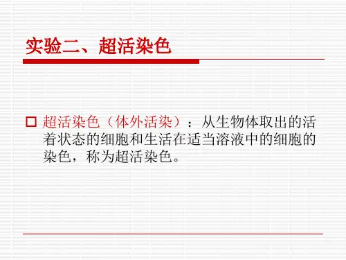 实验二、活体染色