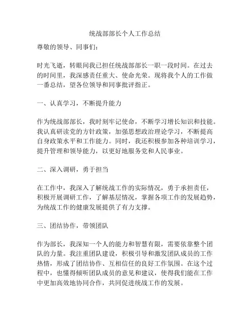 统战部部长个人工作总结